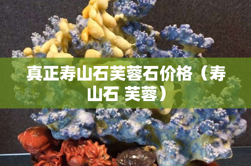 真正寿山石芙蓉石价格（寿山石 芙蓉）