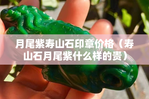 月尾紫寿山石印章价格（寿山石月尾紫什么样的贵）