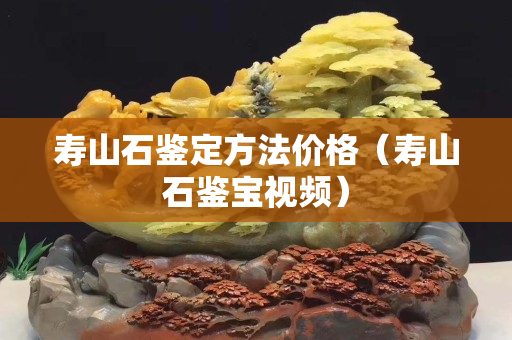 寿山石鉴定方法价格（寿山石鉴宝视频）