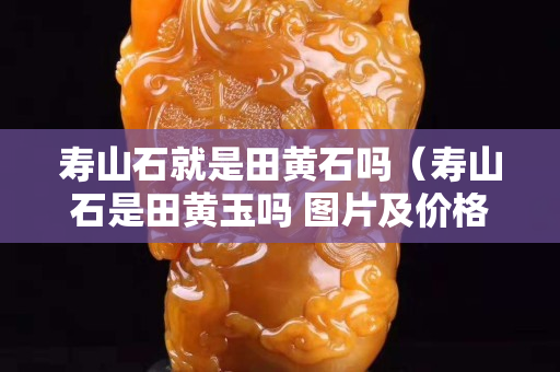 寿山石就是田黄石吗（寿山石是田黄玉吗 图片及价格）