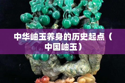 中华岫玉养身的历史起点（中国岫玉）