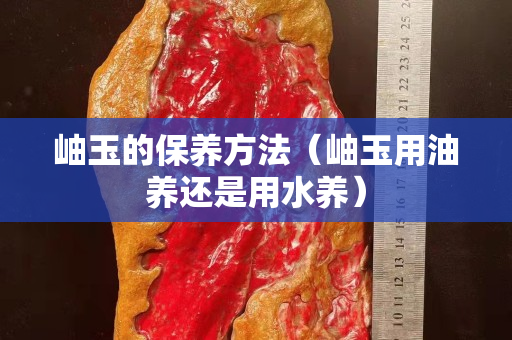 岫玉的保养方法（岫玉用油养还是用水养）