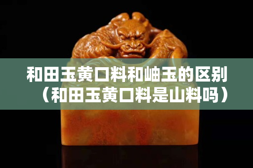 和田玉黄口料和岫玉的区别（和田玉黄口料是山料吗）
