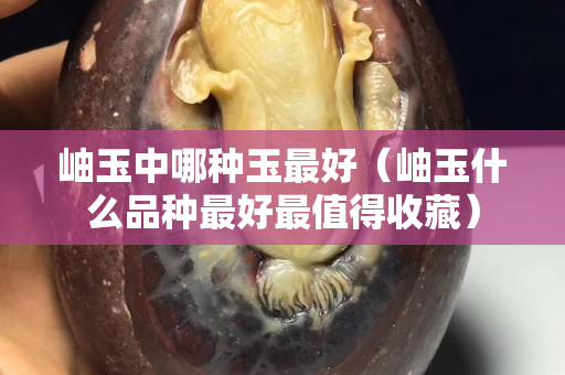 岫玉中哪种玉最好（岫玉什么品种最好最值得收藏）