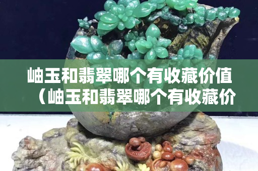 岫玉和翡翠哪个有收藏价值（岫玉和翡翠哪个有收藏价值呢）