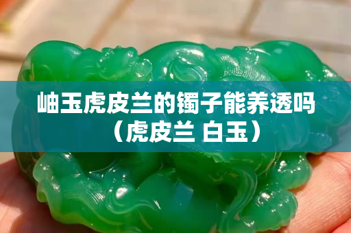岫玉虎皮兰的镯子能养透吗（虎皮兰 白玉）