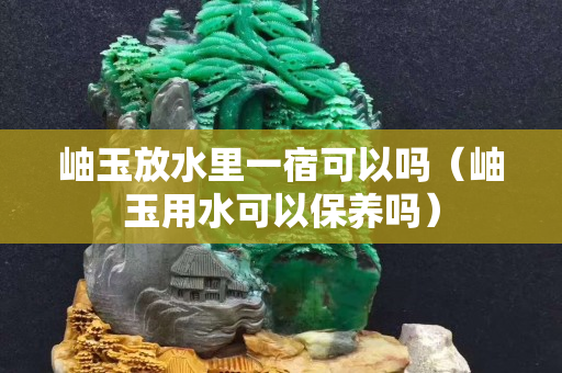 岫玉放水里一宿可以吗（岫玉用水可以保养吗）
