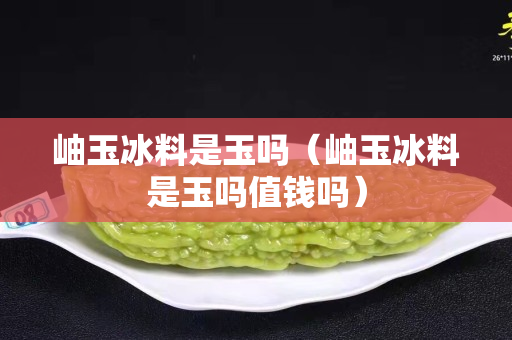 岫玉冰料是玉吗（岫玉冰料是玉吗值钱吗）