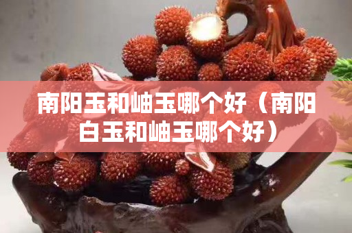 南阳玉和岫玉哪个好（南阳白玉和岫玉哪个好）