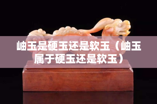 岫玉是硬玉还是软玉（岫玉属于硬玉还是软玉）