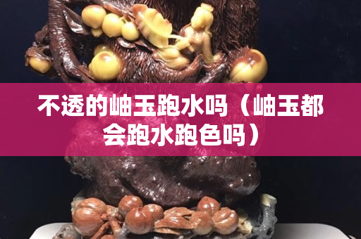 不透的岫玉跑水吗（岫玉都会跑水跑色吗）