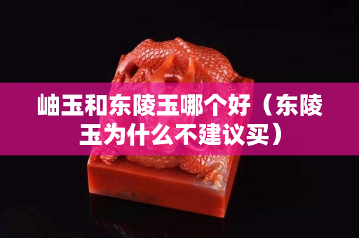 岫玉和东陵玉哪个好（东陵玉为什么不建议买）