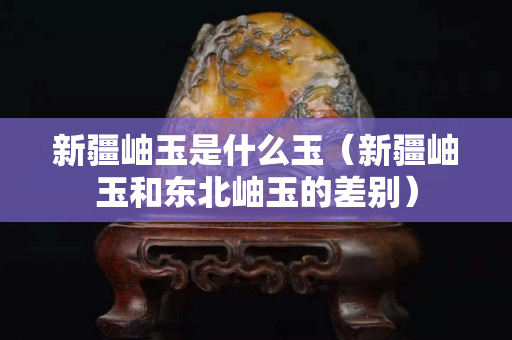 新疆岫玉是什么玉（新疆岫玉和东北岫玉的差别）