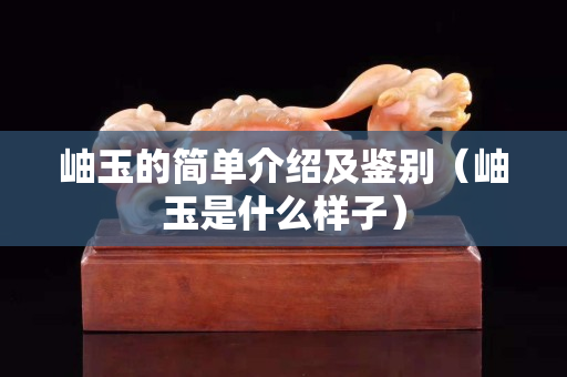 岫玉的简单介绍及鉴别（岫玉是什么样子）