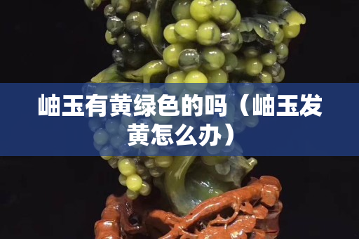 岫玉有黄绿色的吗（岫玉发黄怎么办）