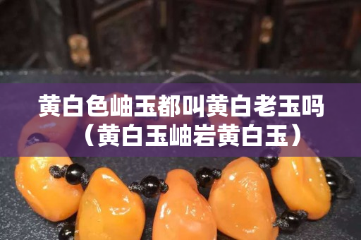 黄白色岫玉都叫黄白老玉吗（黄白玉岫岩黄白玉）
