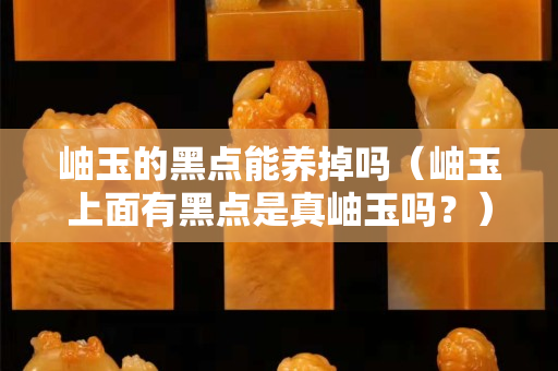 岫玉的黑点能养掉吗（岫玉上面有黑点是真岫玉吗？）
