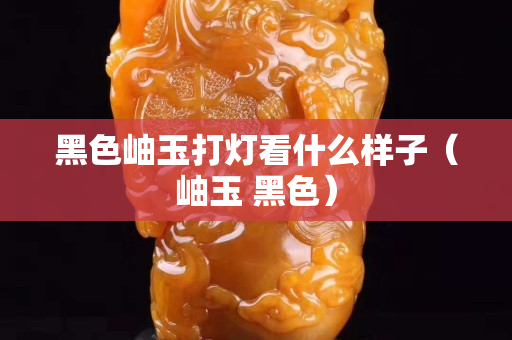 黑色岫玉打灯看什么样子（岫玉 黑色）