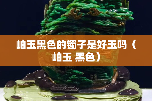 岫玉黑色的镯子是好玉吗（岫玉 黑色）
