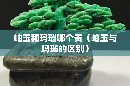 岫玉和玛瑙哪个贵（岫玉与玛瑙的区别）