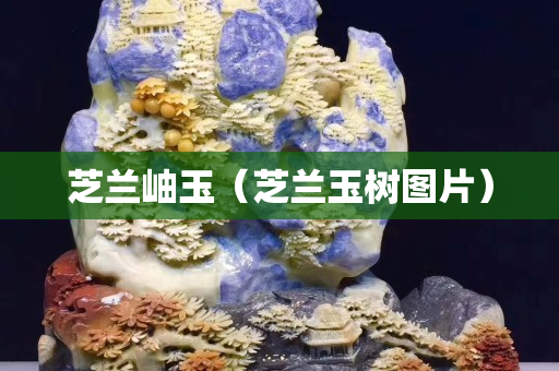 芝兰岫玉（芝兰玉树图片）