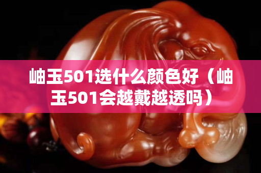 岫玉501选什么颜色好（岫玉501会越戴越透吗）