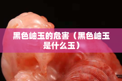 黑色岫玉的危害（黑色岫玉是什么玉）