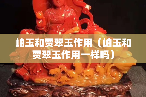 岫玉和贾翠玉作用（岫玉和贾翠玉作用一样吗）