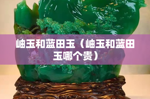 岫玉和蓝田玉（岫玉和蓝田玉哪个贵）