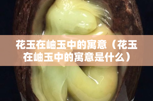 花玉在岫玉中的寓意（花玉在岫玉中的寓意是什么）