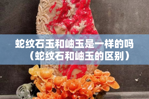 蛇纹石玉和岫玉是一样的吗（蛇纹石和岫玉的区别）