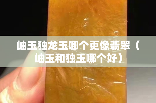 岫玉独龙玉哪个更像翡翠（岫玉和独玉哪个好）