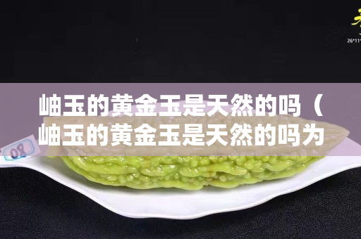 岫玉的黄金玉是天然的吗（岫玉的黄金玉是天然的吗为什么）