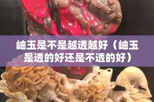 岫玉是不是越透越好（岫玉是透的好还是不透的好）