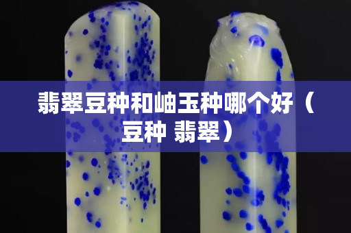 翡翠豆种和岫玉种哪个好（豆种 翡翠）