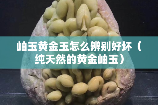 岫玉黄金玉怎么辨别好坏（纯天然的黄金岫玉）
