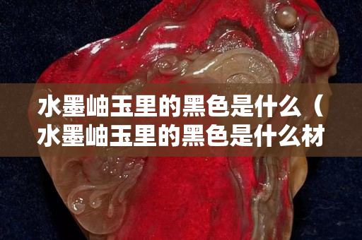 水墨岫玉里的黑色是什么（水墨岫玉里的黑色是什么材质）