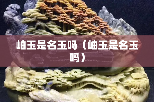 岫玉是名玉吗（岫玉是名玉吗）