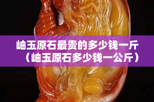 岫玉原石最贵的多少钱一斤（岫玉原石多少钱一公斤）