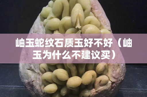 岫玉蛇纹石质玉好不好（岫玉为什么不建议买）