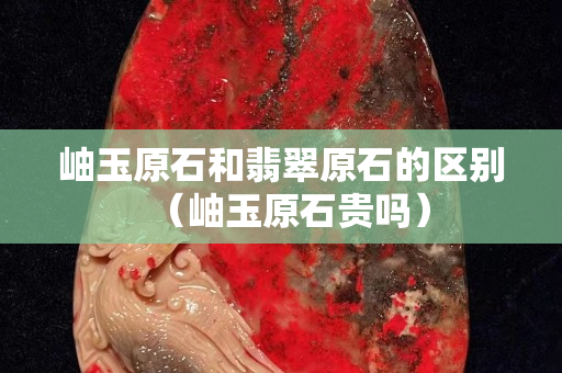 岫玉原石和翡翠原石的区别（岫玉原石贵吗）