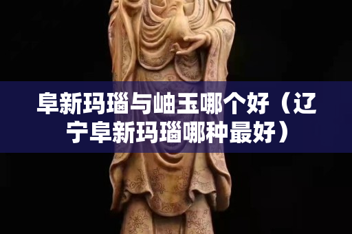 阜新玛瑙与岫玉哪个好（辽宁阜新玛瑙哪种最好）