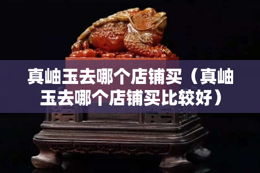 真岫玉去哪个店铺买（真岫玉去哪个店铺买比较好）