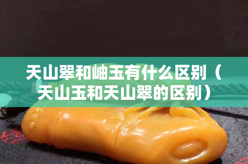 天山翠和岫玉有什么区别（天山玉和天山翠的区别）
