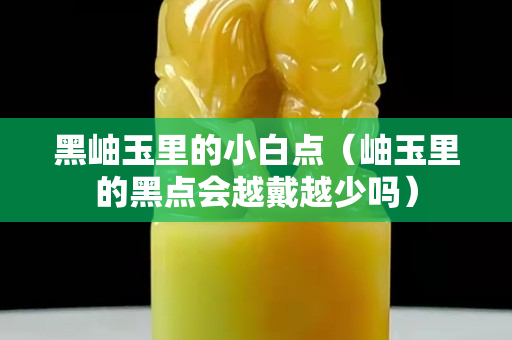 黑岫玉里的小白点（岫玉里的黑点会越戴越少吗）