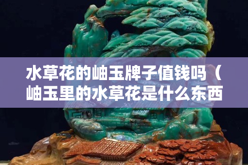 水草花的岫玉牌子值钱吗（岫玉里的水草花是什么东西）