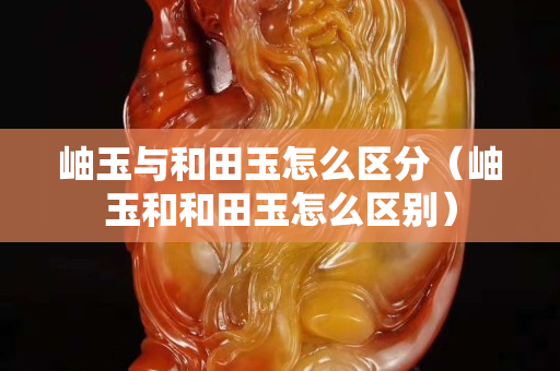岫玉与和田玉怎么区分（岫玉和和田玉怎么区别）