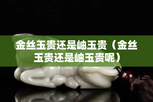 金丝玉贵还是岫玉贵（金丝玉贵还是岫玉贵呢）