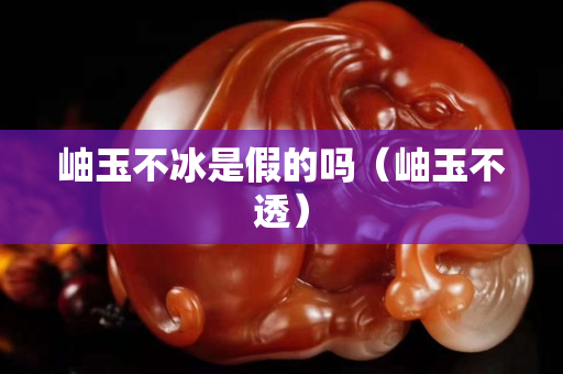 岫玉不冰是假的吗（岫玉不透）