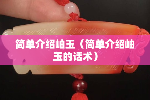 简单介绍岫玉（简单介绍岫玉的话术）